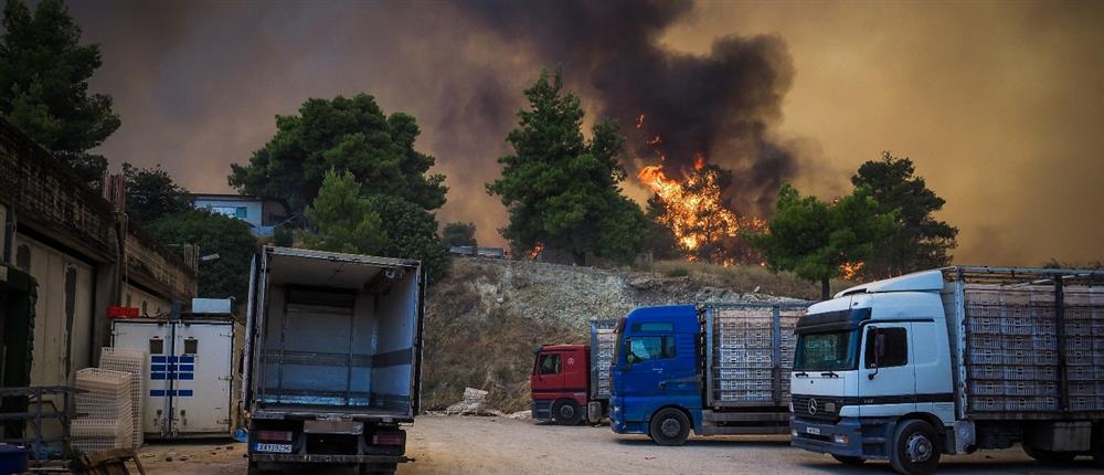 Φωτιά - Εύβοια