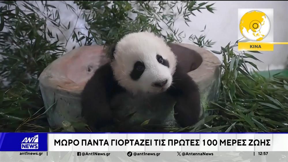Κίνα: Μωρό πάντα γιορτάζει τις πρώτες 100 μέρες ζωής