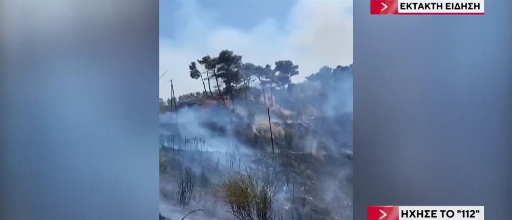 Φωτιά στη Δροσοπηγή