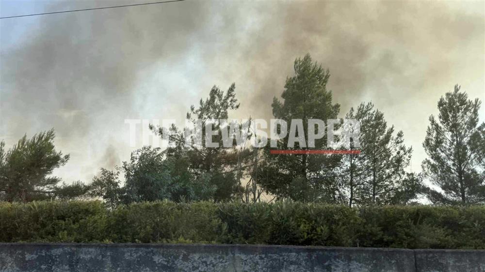 Βόλος - διόδια - φωτιά