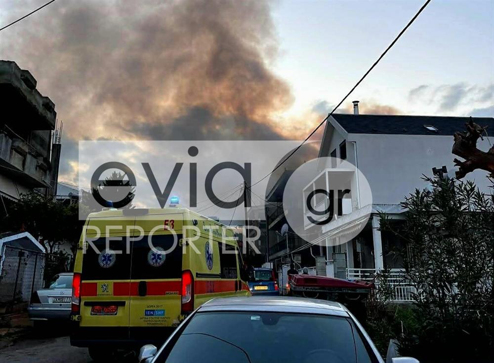 φωτιά Χαλκίδα