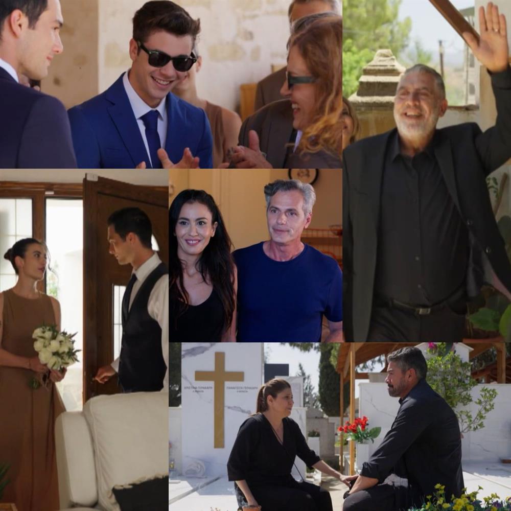 Η Γη της Ελιάς