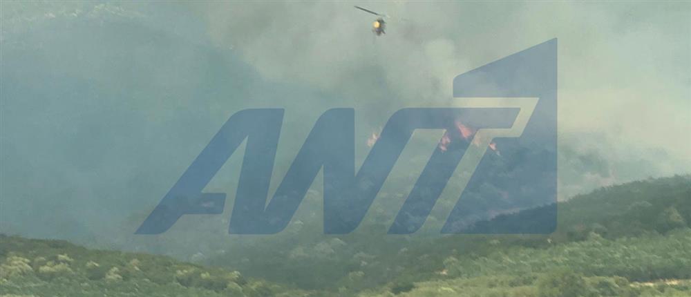 Θεσσαλονίκη: Φωτιά στην Μεγάλη Βόλβη Θεσσαλονίκη: Φωτιά στην Μεγάλη Βόλβη