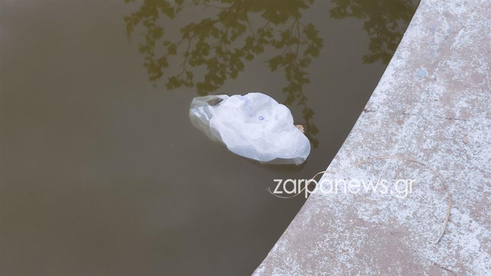 ΧΑΝΙΑ - ΝΕΚΡΕΣ ΧΕΛΩΝΕΣ - ΣΚΟΥΠΙΔΙΑ