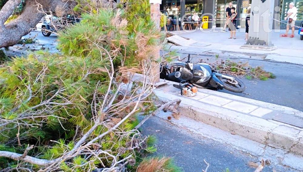 Κρήτη - Δέντρο καταπλάκωσε - μηχανή