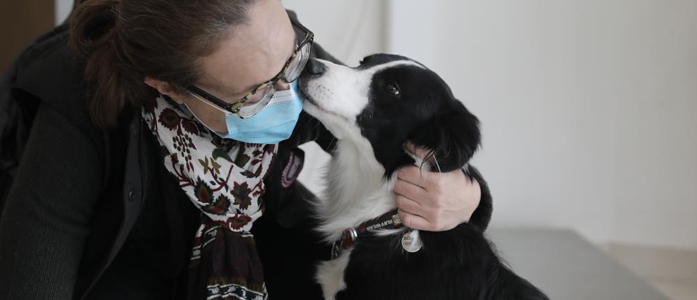 σκύλος - κατοικίδια - ζώα συντροφιάς