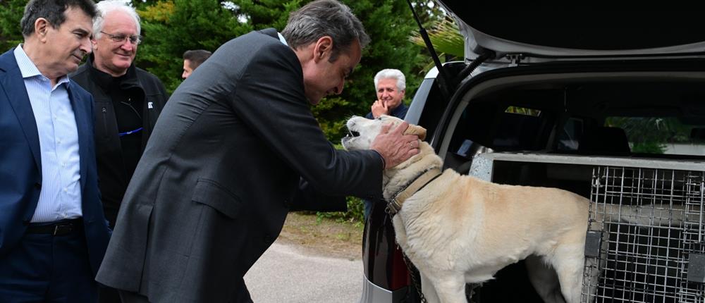 ΜΗΤΣΟΤΑΚΗΣ - ΑΓΙΑ ΒΑΡΒΑΡΑ - ΟΙΚΟΤΡΟΦΕΙΟ