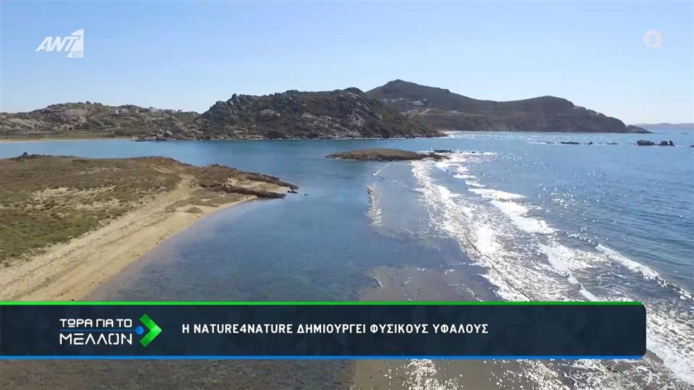 Η Nature4Nature δημιουργεί φυσικούς υφάλους
