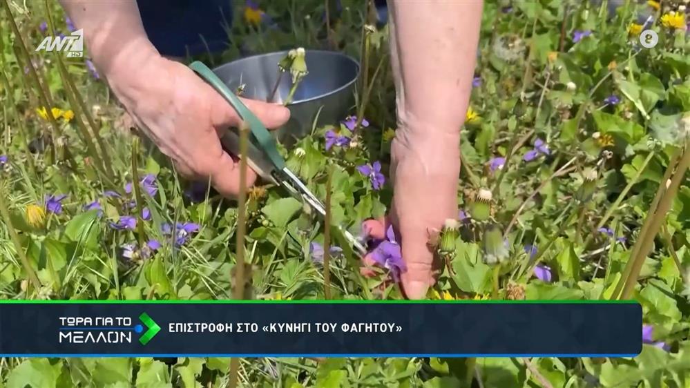 Νέα γαστρονομική εμπειρία για την επανασύνδεση με τη φύση