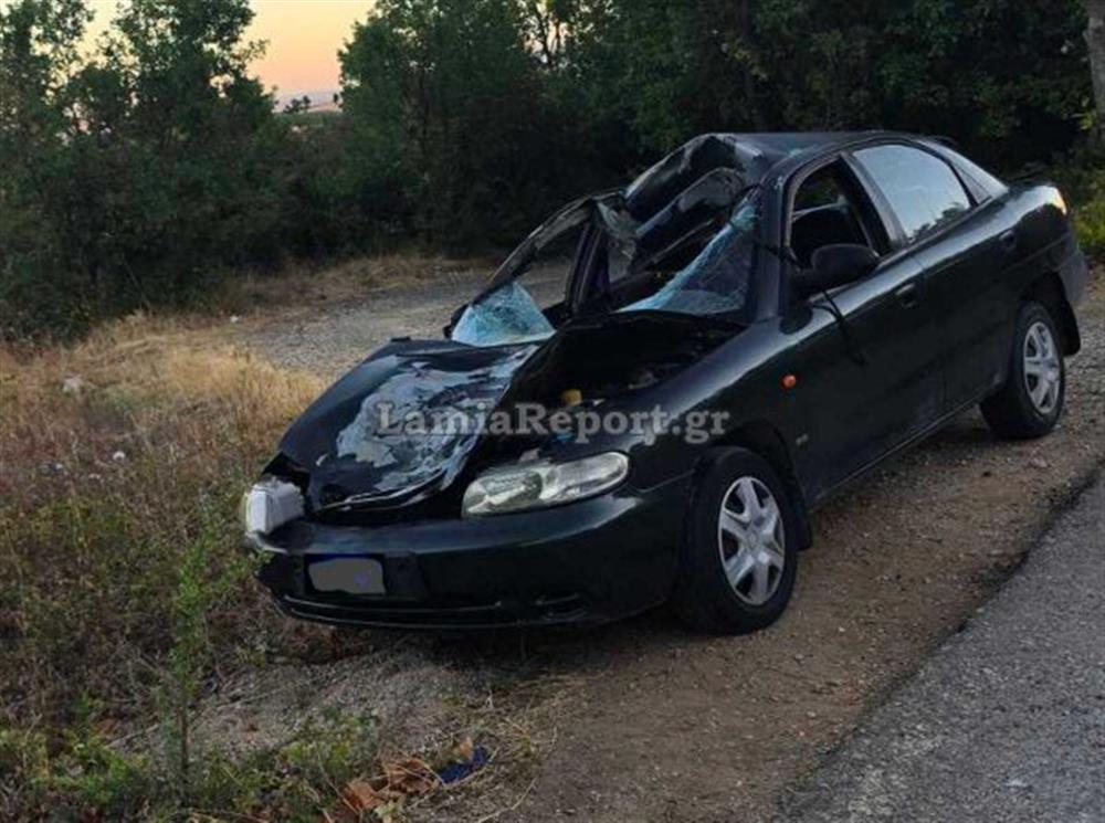 Λαμια- αγελαδα Λαμια- αγελαδα