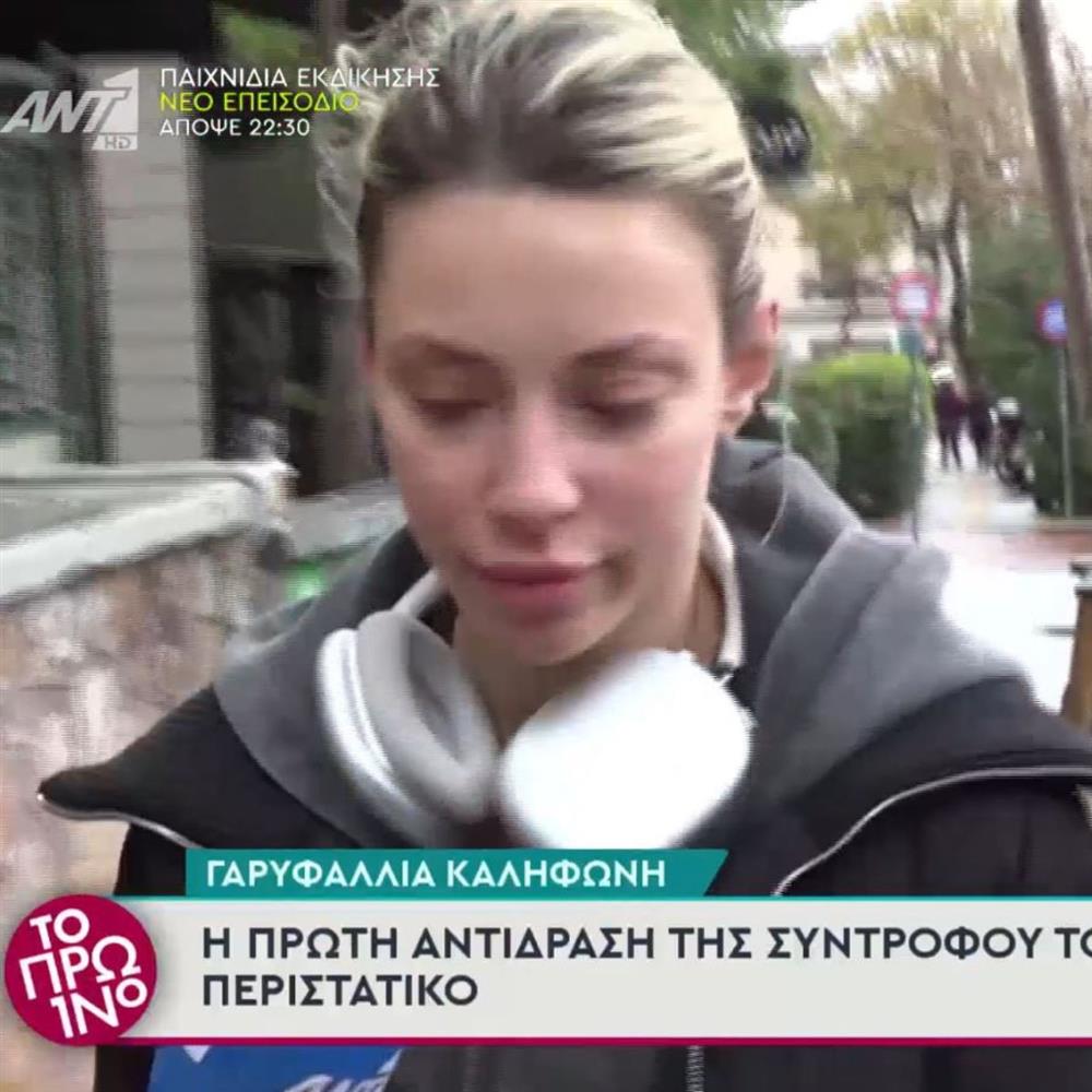 Γαρυφαλλια