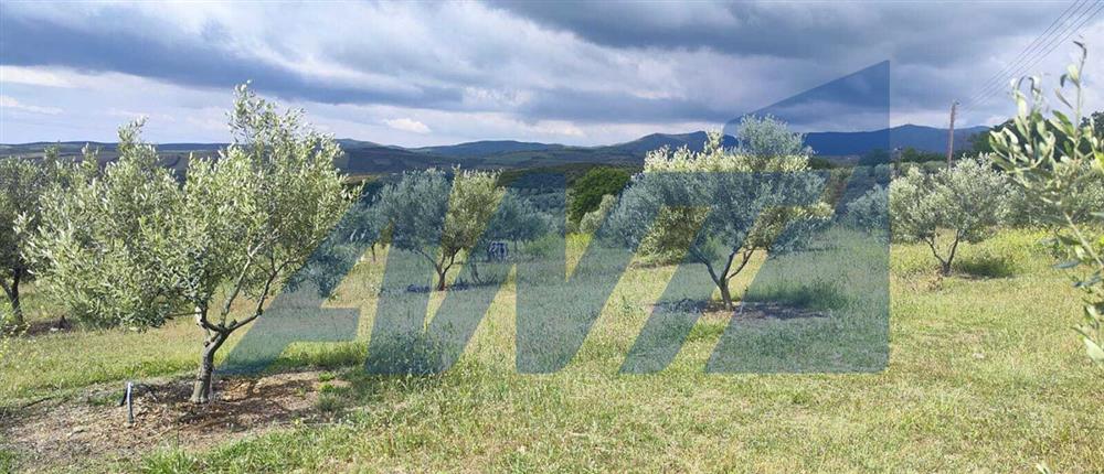 Χαλκιδική: Καταστροφικό χαλάζι στα Βράσταμα Χαλκιδική: Καταστροφικό χαλάζι στα Βράσταμα