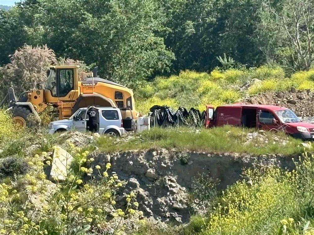 Τέμπη - σκυλιά - οικόπεδο