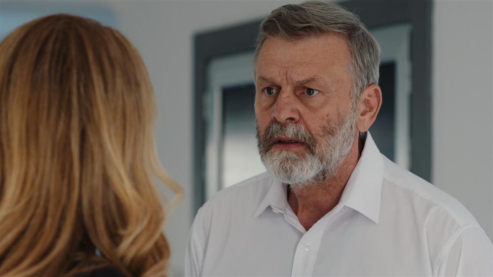 Η Γη της Ελιάς Η Γη της Ελιάς