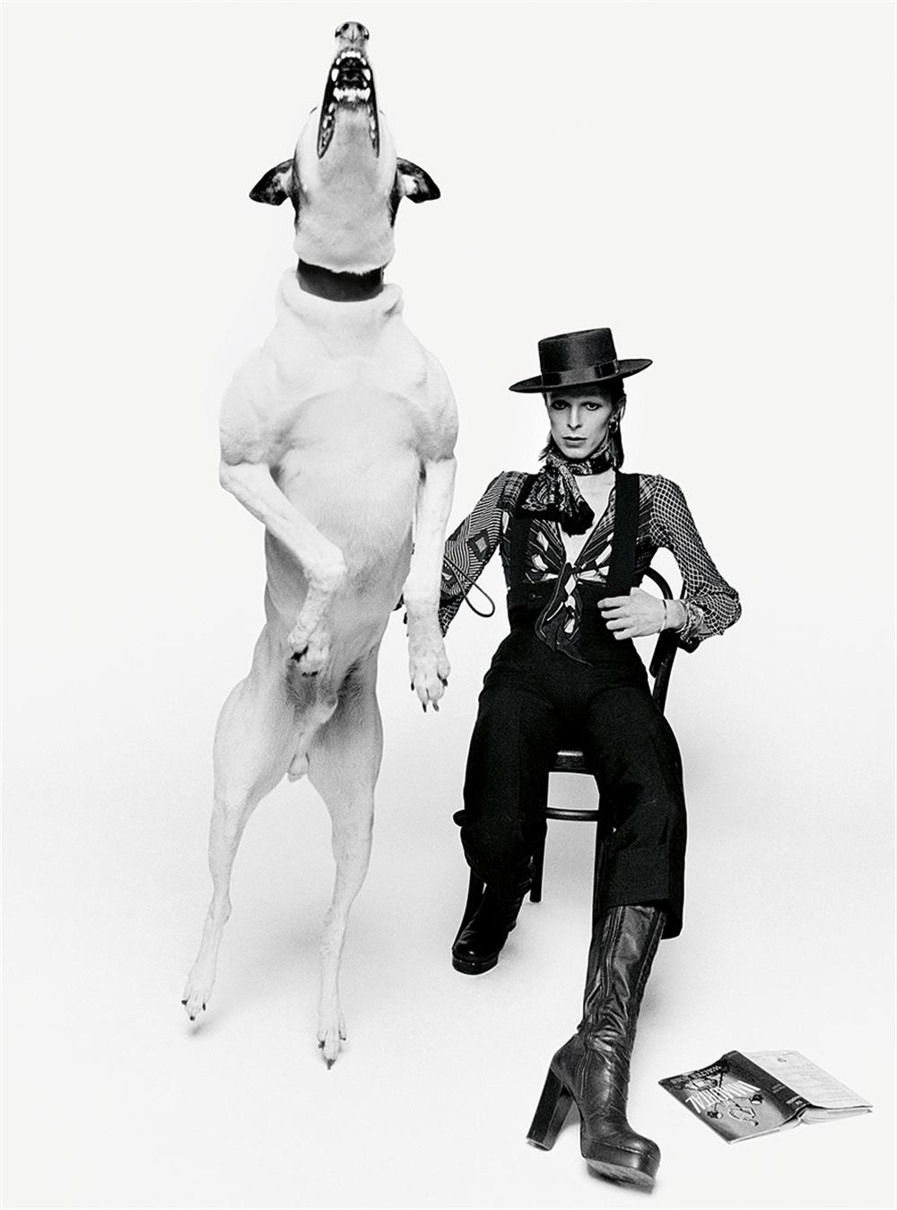 David Bowie David Bowie