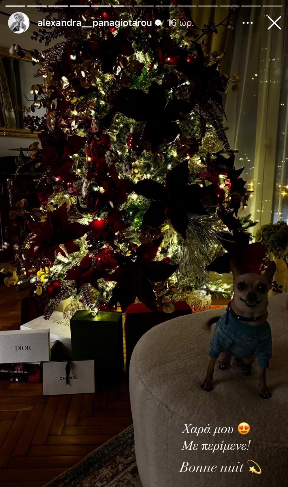 Αλεξάνδρα Παναγιώταρου