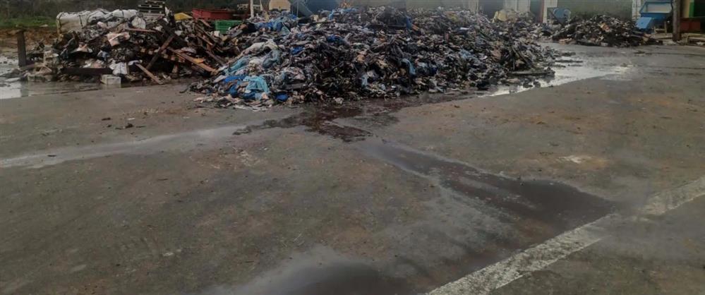 θεσσαλονικη - ζωικα - αποβλητα