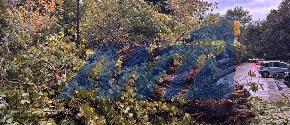 Θεσσαλονίκη - κακοκαιρία Θεσσαλονίκη - κακοκαιρία