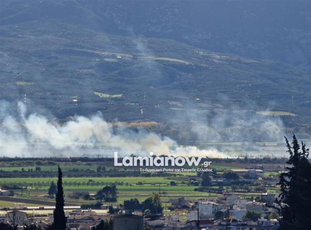 Λαμία - Φωτιά