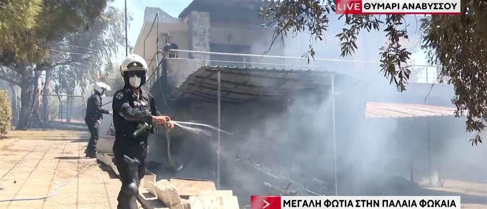 Φωτιά στην Παλαιά Φώκαια: Οι φλόγες έφτασαν στα σπίτια Φωτιά στην Παλαιά Φώκαια: Οι φλόγες έφτασαν στα σπίτια