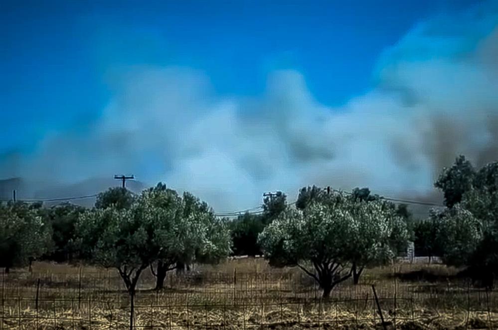 Φωτιά - Αλιβέρι