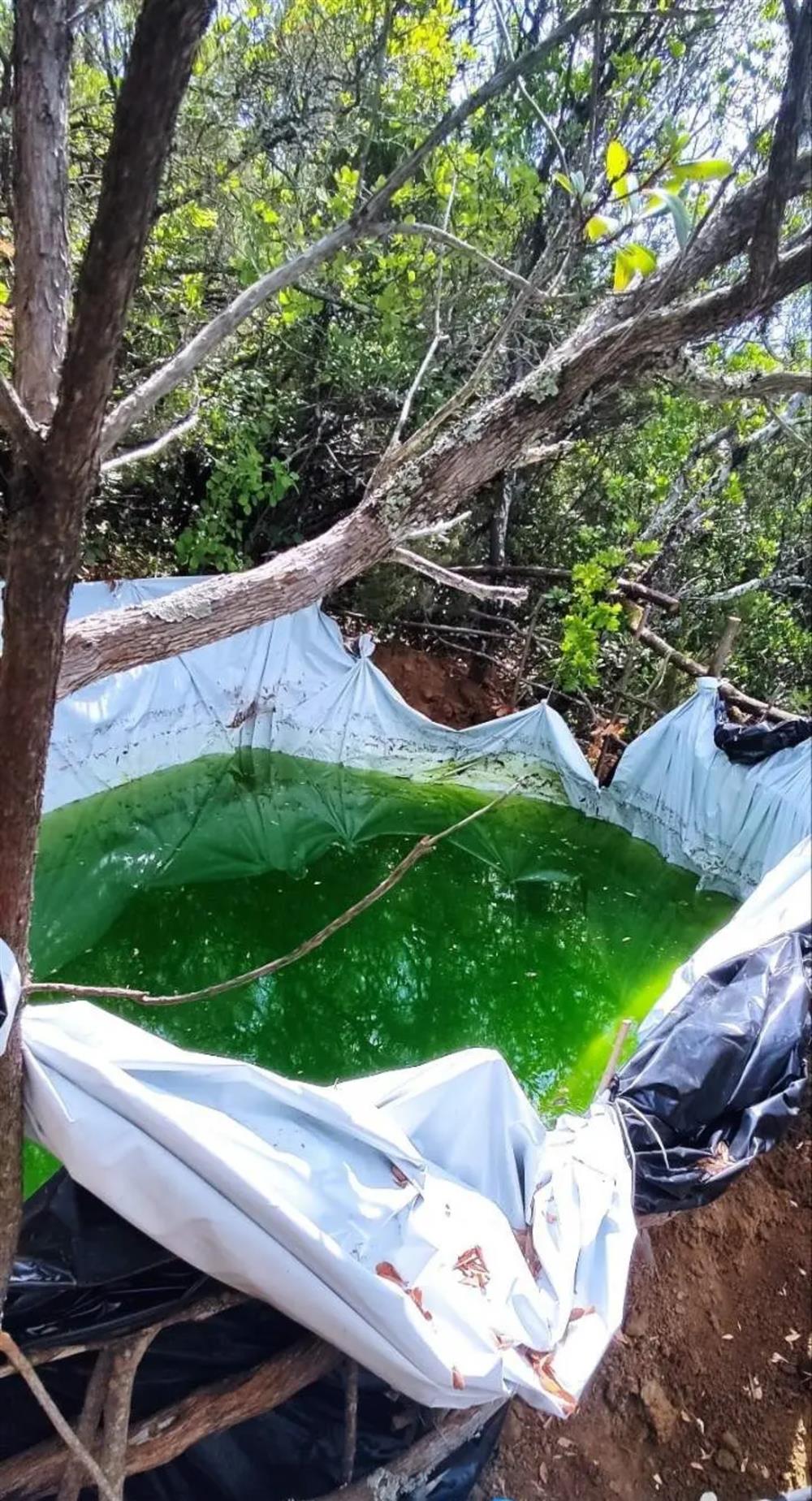 ΑΙΤΩΛΟΑΚΑΡΝΑΝΙΑ - ΝΑΡΚΩΤΙΚΑ ΑΙΤΩΛΟΑΚΑΡΝΑΝΙΑ - ΝΑΡΚΩΤΙΚΑ