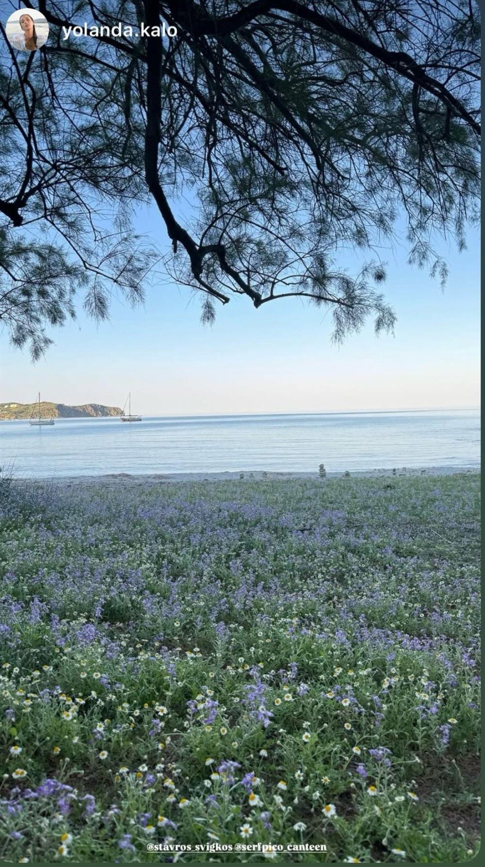 Grand Hotel Grand Hotel