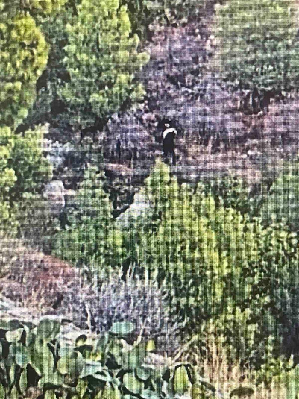 Υμμητός:Σύλληψη εμπρηστή επιδειξία