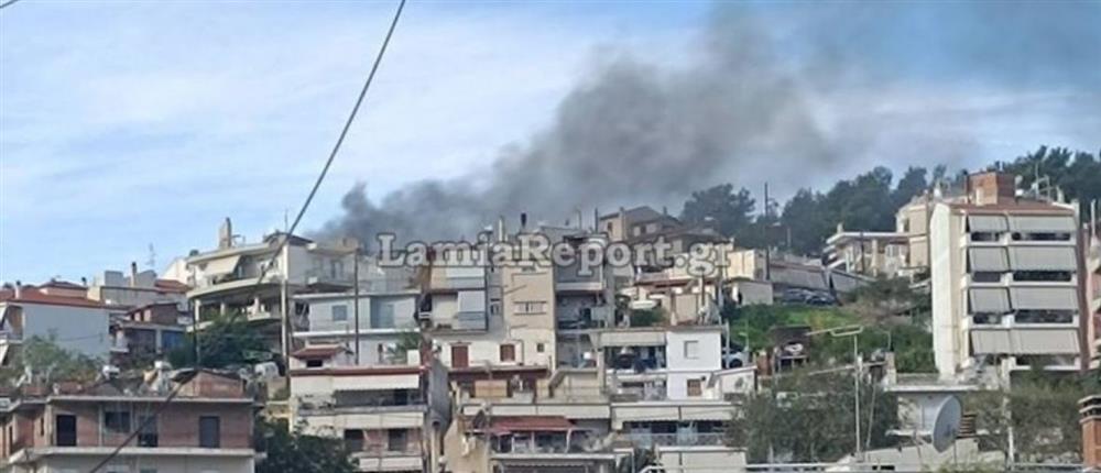 φωτιά Λαμία