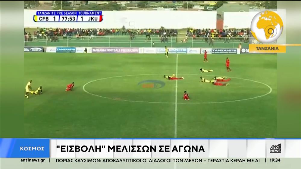 "Εισβολή" μελισσών σε ποδοσφαιρικό αγώνα 
