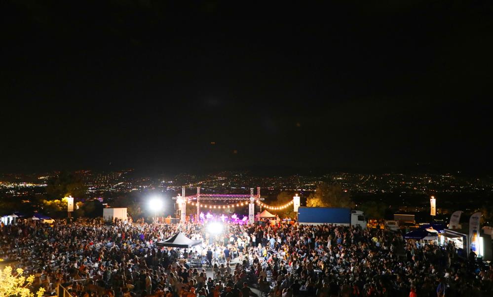 Δημοτικό Αθηναϊκό Πανήγυρι