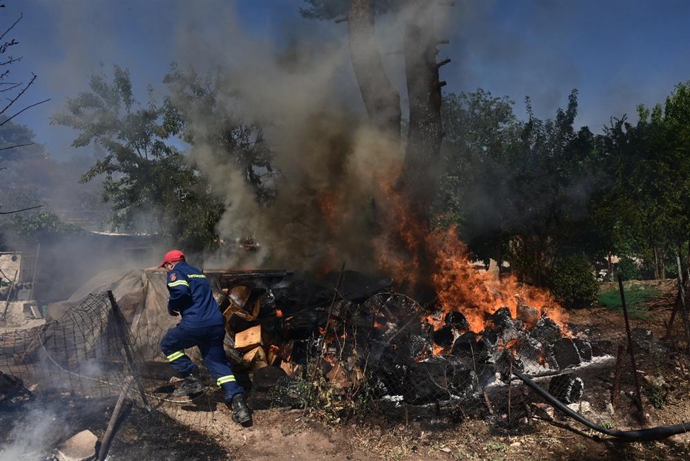 Φωτιά στη Σταμάτα Φωτιά στη Σταμάτα