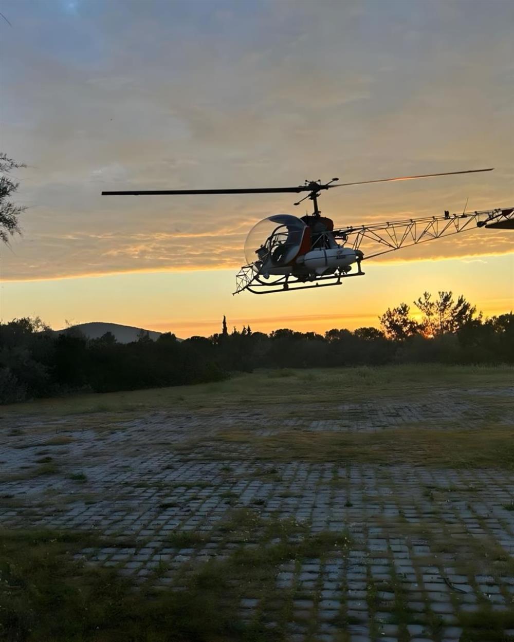 Χαρδαλιάς - Δήμος - Αττικής - Κουνούπια