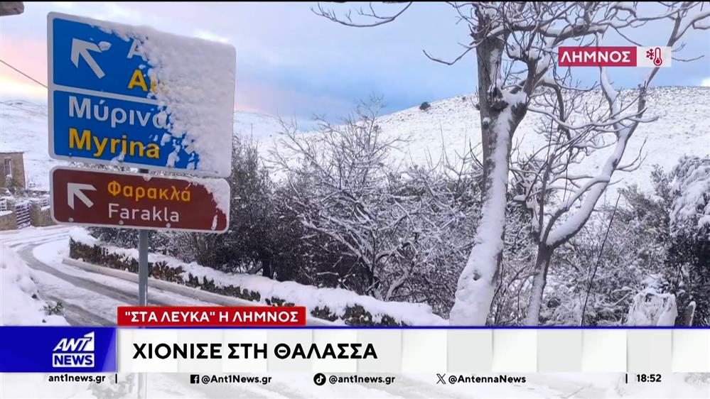 Κρύο, χιόνι και παγωνιά σε περιοχές της Ελλάδας