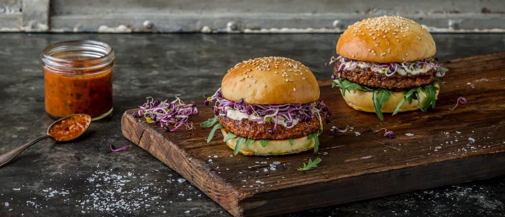 ΕΛΒΕΤΙΑ - ΤΡΟΦΙΜΑ ΜΕ ΕΝΤΟΜΑ ΕΛΒΕΤΙΑ - ΤΡΟΦΙΜΑ ΜΕ ΕΝΤΟΜΑ