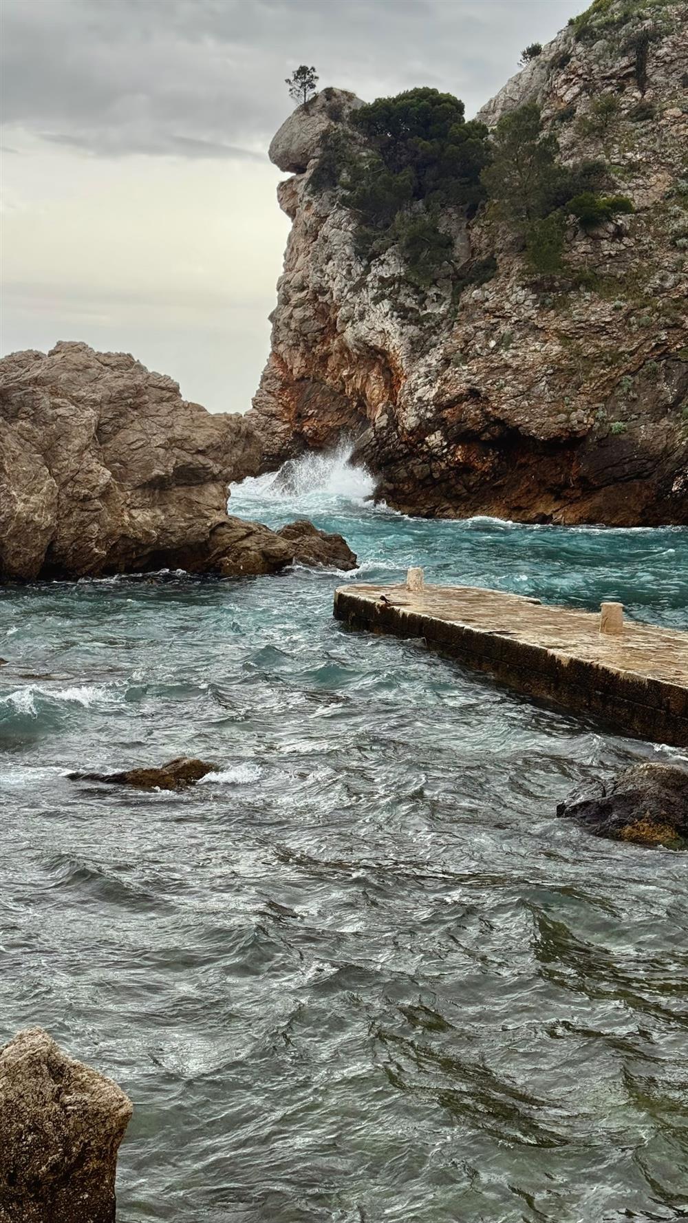 Εβελίνα Νικόλιζα