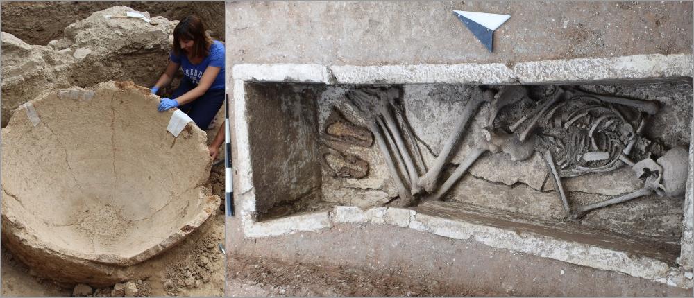 Αρχαία Σικυώνα - Διεπιστημονική έρευνα Αρχαία Σικυώνα - Διεπιστημονική έρευνα