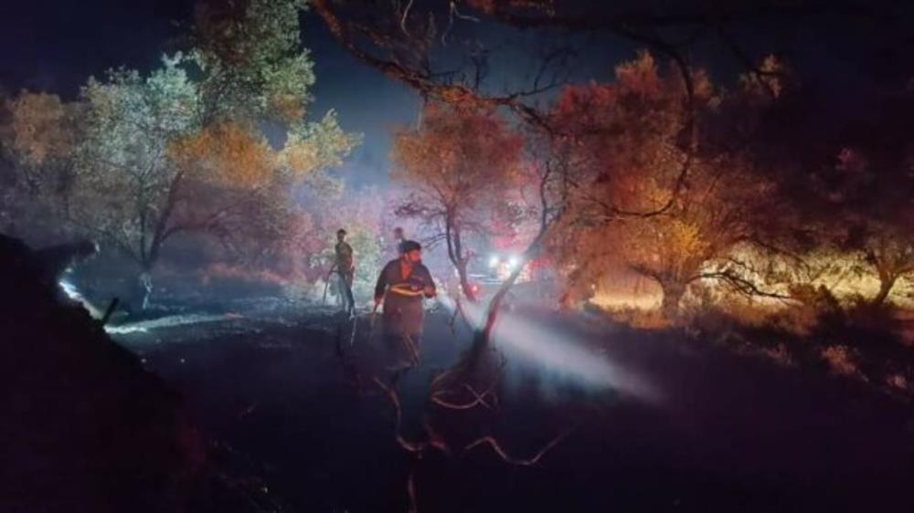 Σκυλιά - Ρόδος Σκυλιά - Ρόδος