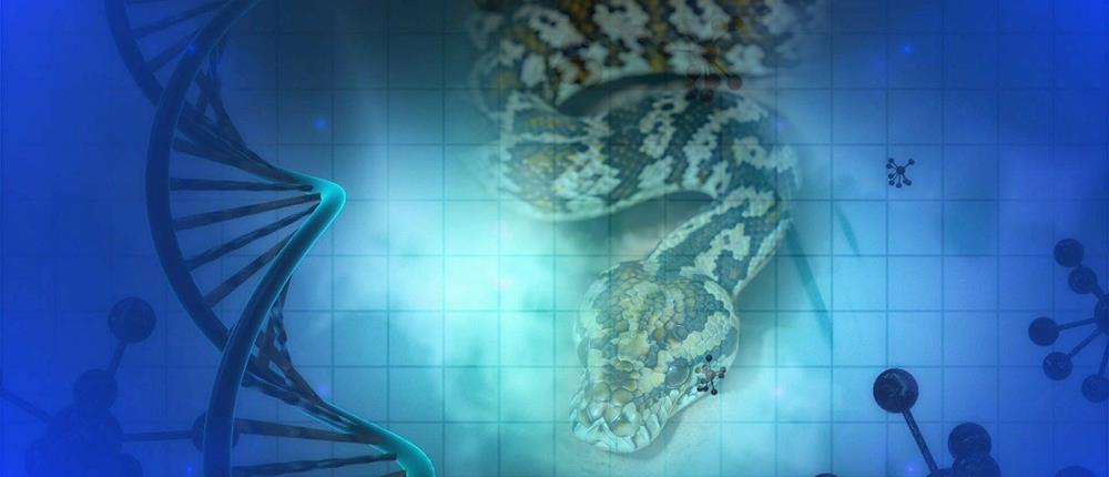 Άνθρωπος - φίδι - DNA - δηλητήριο