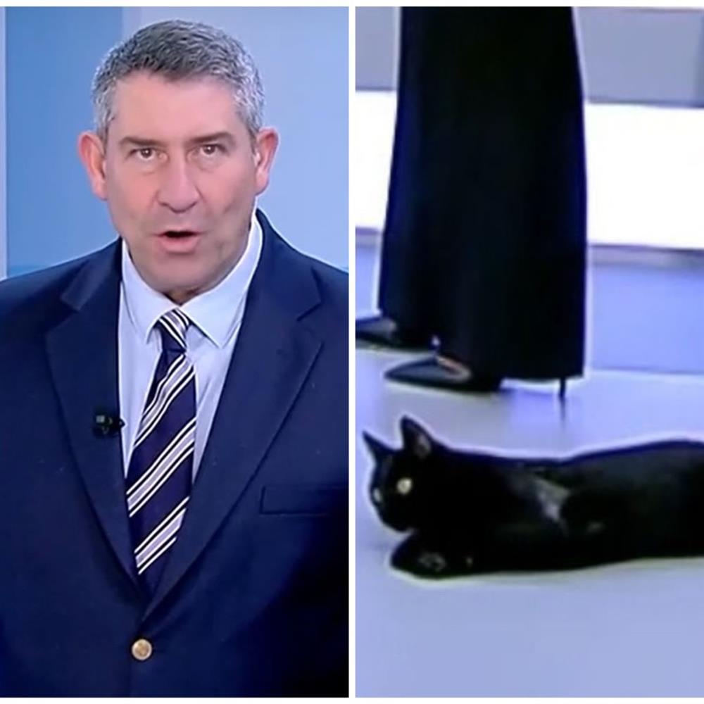 Άκης Παυλόπουλος: Η αντίδρασή του όταν μια μαύρη γάτα εισέβαλε στο πλατό