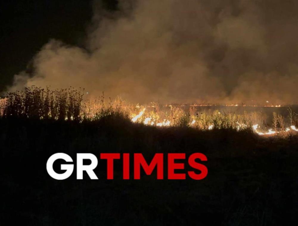 Θεσσαλονίκη - φωτιά Θεσσαλονίκη - φωτιά