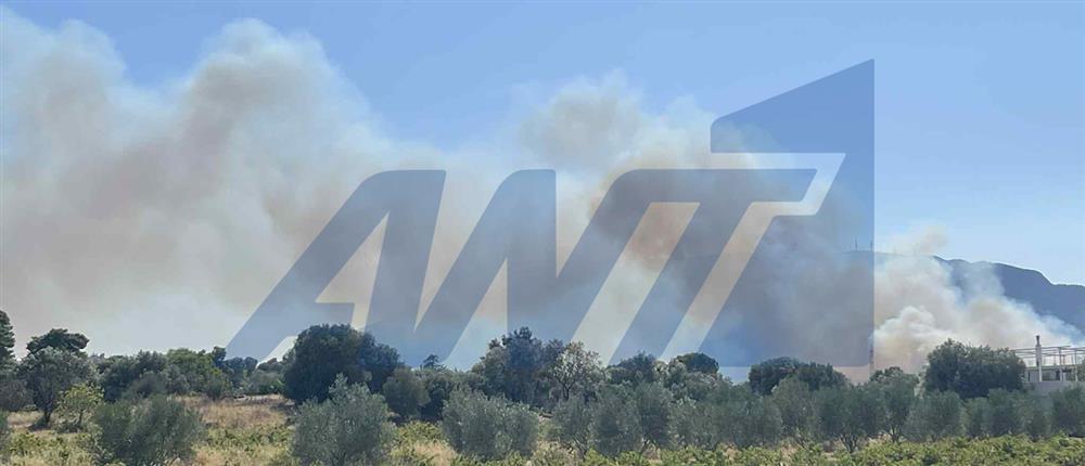 Η εικόνα της φωτιάς στην Παιανία