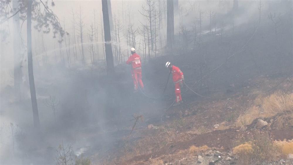 Πυροσβέστες και κάτοικοι μάχονται με τις φλόγες, στη βορειοδυτική Τουρκία