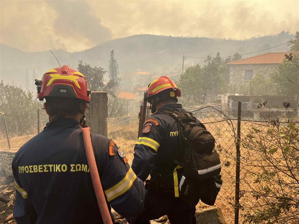 φωτιά - Μεσσηνία - Κρυονέρι