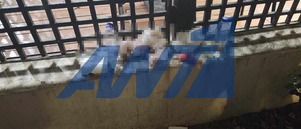 Κηφισιά - Επίθεση κουκουλοφόρων σε παρέα ανήλικων - Σοβαρά τραυματισμένος ένας 17χρονος Κηφισιά - Επίθεση κουκουλοφόρων σε παρέα ανήλικων - Σοβαρά τραυματισμένος ένας 17χρονος