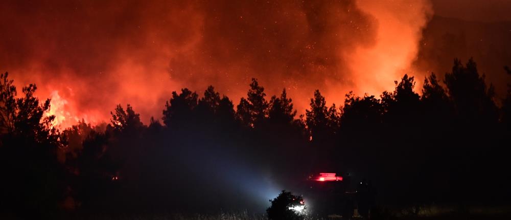 φωτιά - ωρωπός - βραδυ