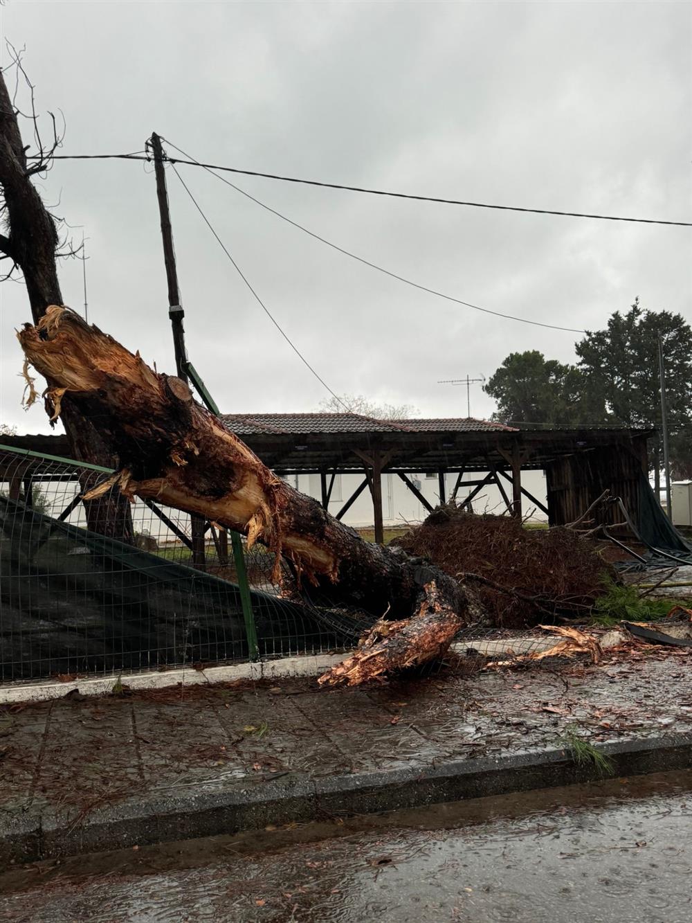 Κακοκαιρία Bora - Πλαταμώνας