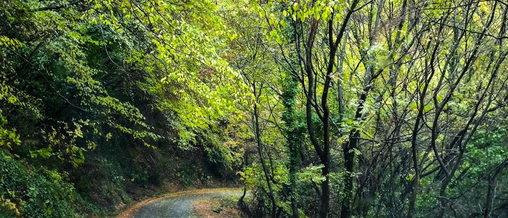 Τι καιρό θα κάνει την Παρασκευή