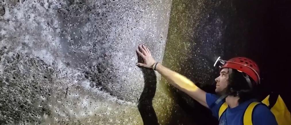 Το γιγάντιο "δίχτυ" στον υπόγειο κόσμο – Ο παγκόσμιος ρεκόρ ιστός αράχνης σε ελληνικό-αλβανικό σπήλαιο