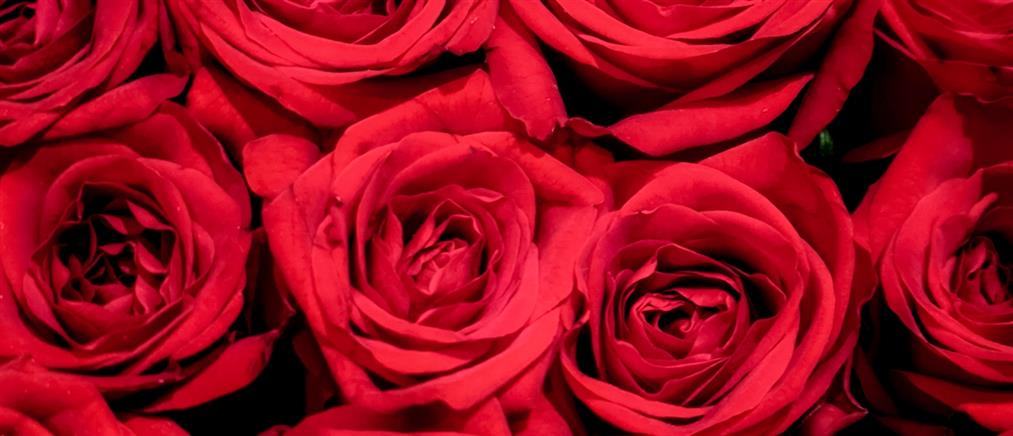 Εορτολόγιο: Ποιοι γιορτάζουν ανήμερα των Χριστουγέννων